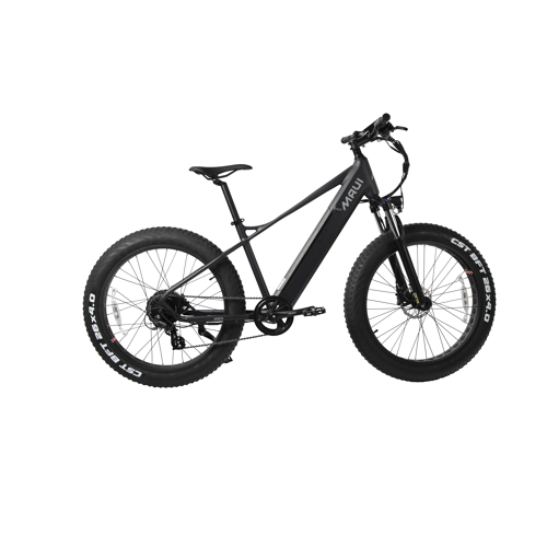 Electric Fat Bike 500W Black