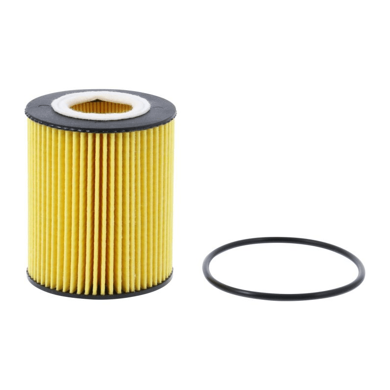 FRAM Extra Guard Cartridge Oil Filter CH12364