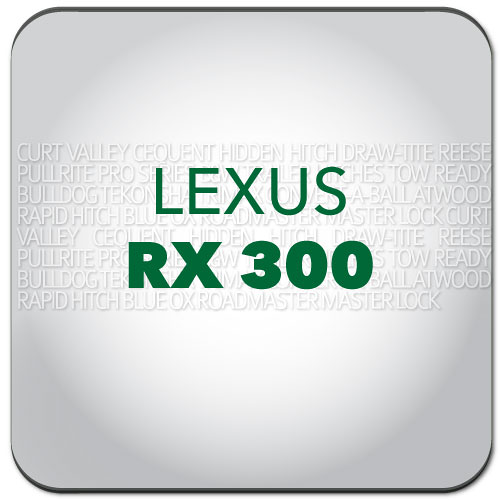 RX 300
