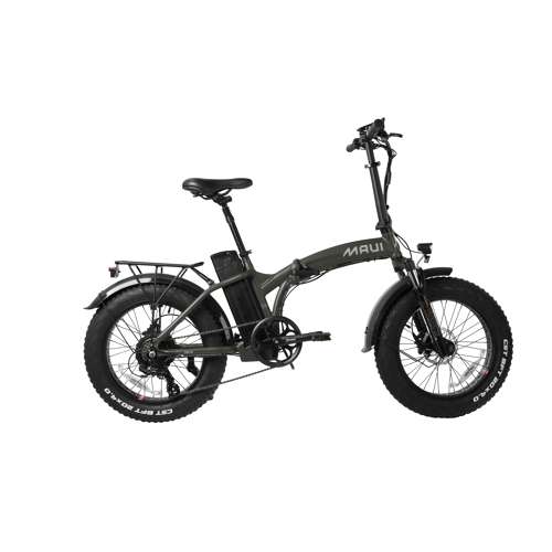 Electric Folding Bike 500W Green