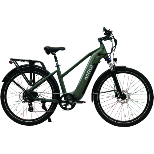 Electric City Bike Hera 2024 500W Green
